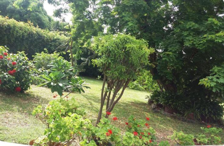 Comfy Home-Tropical Garden & 5 Min Walk To Beach Tamarin Exterior photo