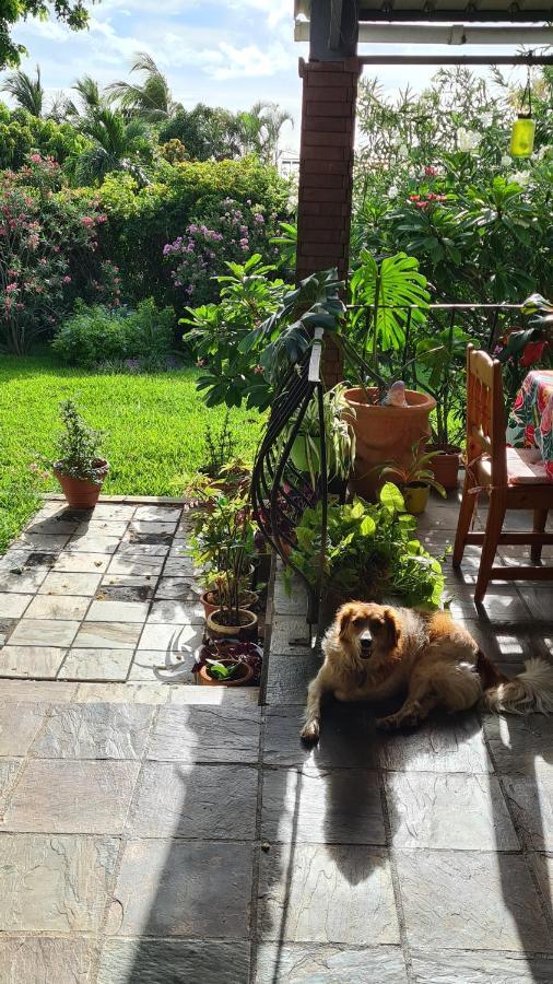 Comfy Home-Tropical Garden & 5 Min Walk To Beach Tamarin Exterior photo